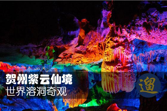 表白后女生再也不回复消息了怎么办?- 冷知识分享平台